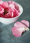 Rose petals in bowl