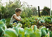 Boy in vegetable garden