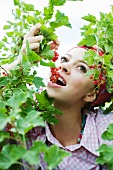 Teen girl eating red currants off the stem, surrounded by vegetation