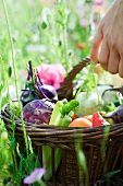 Hand holding basket of fresh produce