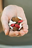 Handful of dry multicolored beans and seeds