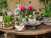 Spring arrangement on wooden table outside