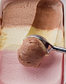 Neapolitan ice cream in a plastic box and an ice cream scoop