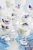 Panna cotta garnished with sugared violets