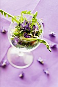 Dandelion leaf salad with violets