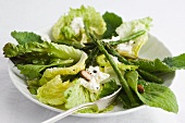 Mixed leaf salad with asparagus, ricotta and almonds