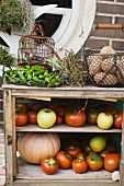 A storage shelf for vegetables and fruit