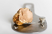 A truffle on a truffle slice