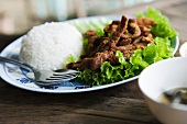 Frittiertes Schweinefleisch mit Reis (Thailand)