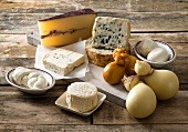 Various types of Italian cheese