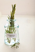 Sprigs of rosemary in an apothecary bottle