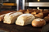 Verschiedene Brote in der Bäckerei