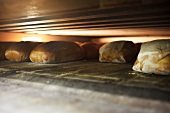 Various types of bread in an oven
