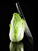 A Chinese cabbage and a knife
