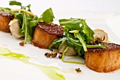 Seared Scallops Garnished with Caper Berries and Mesclun Greens