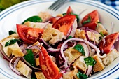 Panzanella (Italian bread salad)