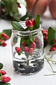 St. John's wort berries in jar with water and pebbles