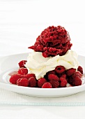Raspberry sorbet on ricotta cream with fresh raspberries