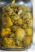 Dandelion buds pickled in vinegar