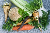 Various types of vegetables and herbs (Umbelliferae)