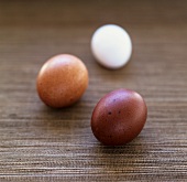 A dark brown, a light brown and white egg