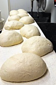 Bread dough in a bakery