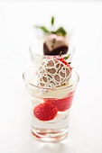 Champagne jelly with chocolate strawberries