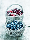 Blueberries and cranberries in baskets