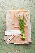 Fresh chives with a label