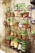 A steel shelf with different herbs