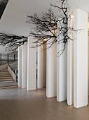 Contemporary foyer with tree branches as decoration