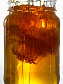 Honey and Honeycomb in a Jar; Honey Drip on Jar