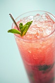 Raspberry Rose Mojito