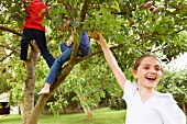Drei Kinder pflücken Äpfel am Baum