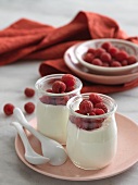 Two Glass Jars of Greek Yogurt with Raspberries