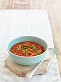 Tomato and bread soup with basil