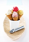 Mango sorbet, ginger sorbet, vanilla frozen yoghurt and raspberry ice cream