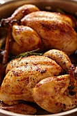 Small Roasting Chickens in a Pan