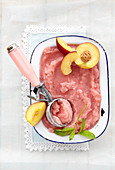 Watermelon sorbet with pink sparkling wine and nectarines