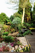Üppig exotisch bepflanzte Gartenanlage mit Holzstegen
