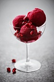 Glass of pomegranate sorbet