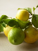 Ripening Lemons