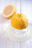 A lemon half on a glass citrus press