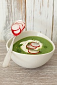 Cream of broccoli soup with radishes