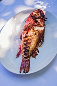 Grilled scorpion fish