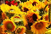 Sonnenblumensträusse auf Markt