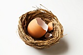 Cracked Brown Egg Shell in a Nest