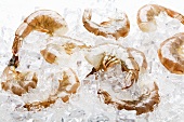 Shrimp on ice