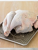 Uncooked Turkey Rubbed with Herb Butter on a Rack