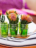 Protea flowers in green, Moroccan tea glasses in metal carrier